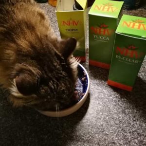 genghis khan the cat taking NHV supplements