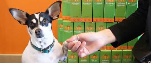 nhvnaturalselfie 3 donations