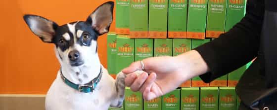 nhvnaturalselfie 3 donations