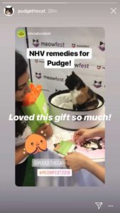 pudge the cat mentioned NHV