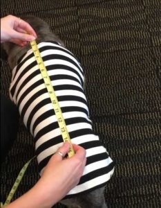 Measuring from collar to waist for cape size