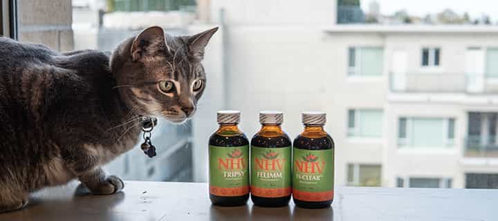 NHV Lymphoma kit for cats