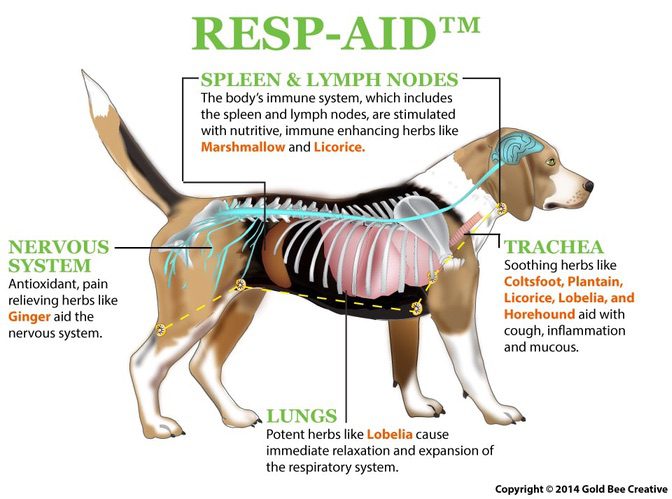 resp aid dog diagram