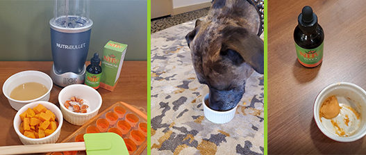This sweet potato mash for pets is a great way to hide supplements for picky eaters or to involve your furkiddo in festive dinners like Thanksgiving.