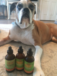 boxer dog breed with lung cancer