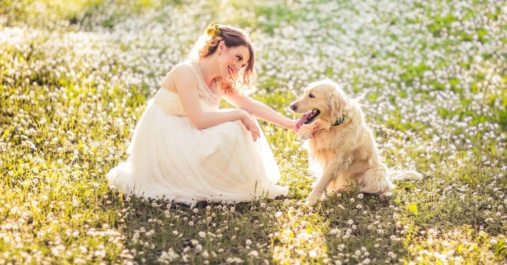 5 Ways to Include Your Pet in Your Wedding