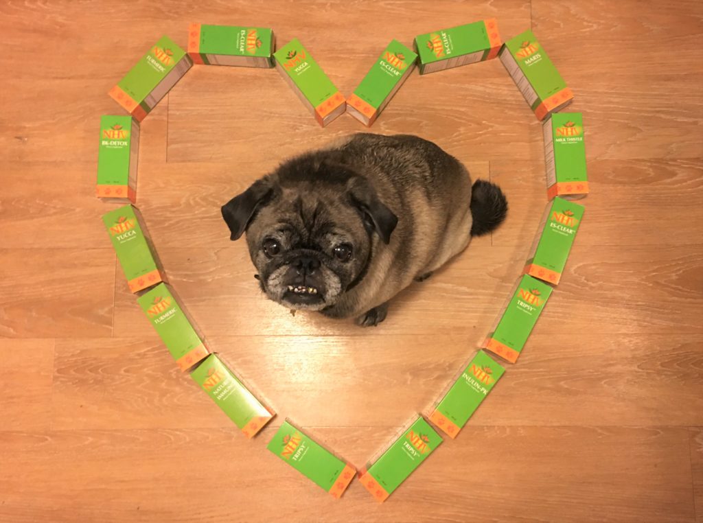 dog on the ground in the middle of heart shaped supplements boxes love