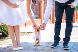 Bride and groom dancing with a small yorkie dog wearing a bow and a pink dress