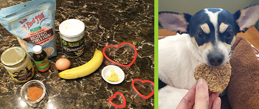 ingredients for valentine's day cookie recipe for pets and a dog eating a heart shaped cookie.