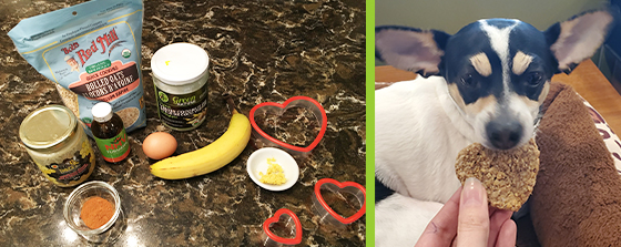 ingredients for valentine's day cookie recipe for pets and a dog eating a heart shaped cookie.