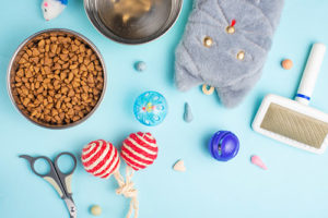 cat supplies on a blue background