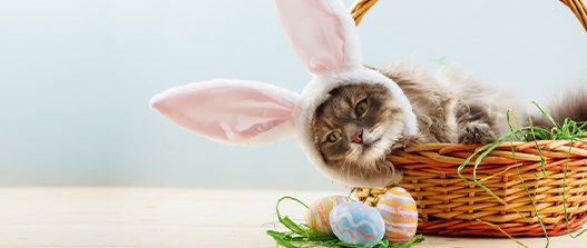 cat wearing rabbit ears while sitting in a wicker basket next to pastel painted eggs