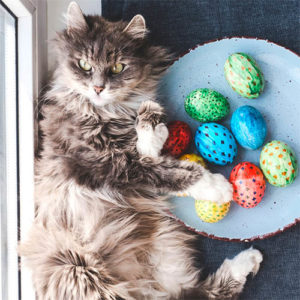 Grey and white fluffy cat laying down between window and a bowl full of hand-painted easter eggs Easter Egg Hunt 2020