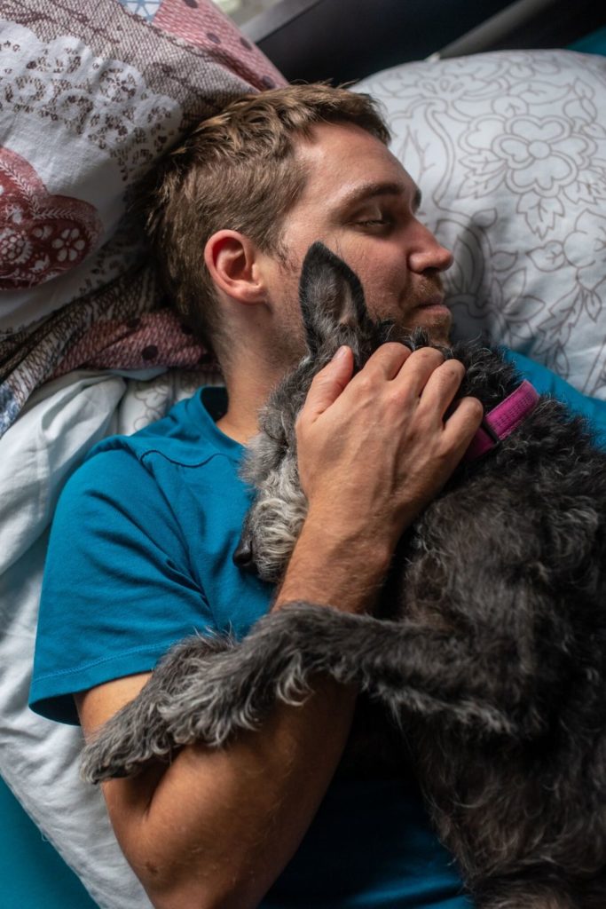 man whith a blue shirt holding a grey dog on a bed