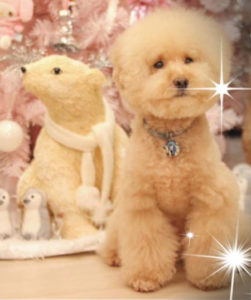 Potato sitting in front of a pink christmas tree and polar bear sculpture