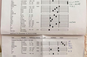Potato's blood work from November compared to his blood work from May