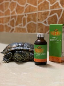 Turtle with NHV Multi Essentials