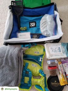 Some of the items that @kittymojito packed for bringing Lynx on a canoeing adventure. A guide to camping with pets
