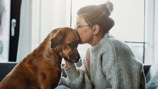 Woman kissing a dog on the head in front of sunny windows. How to help your dog with neurological disorders naturally