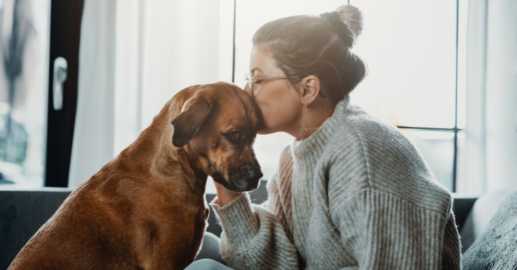 Woman kissing a dog on the head in front of sunny windows. How to help your dog with neurological disorders naturally