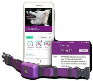 petpace collar and app