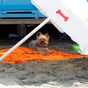 Yorkie dog laying on an orange beach blanket on the sand while under the shade from a sun umbrella. 