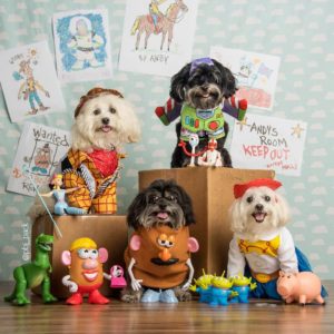 The-PBJ-Pack-Story-dogs-nhvpets