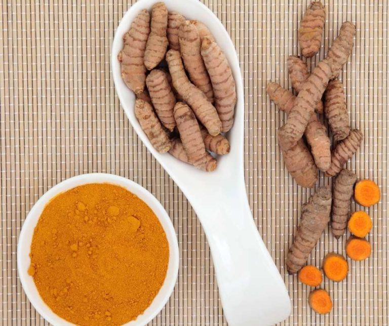 Curcumin For Cats Health Benefits