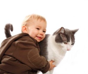 benefits-of-having-a-cat-as-aid-for-children-with-autism-child-with-cat