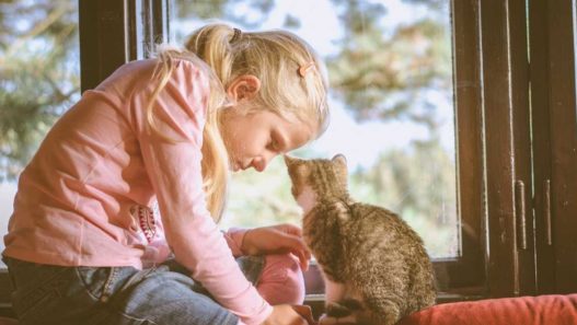 Benefits of having a cat as a aid for children