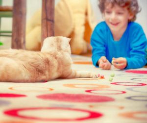benefits-of-having-a-cat-as-aid-for-children-with-autism-kid-playing-with-cat