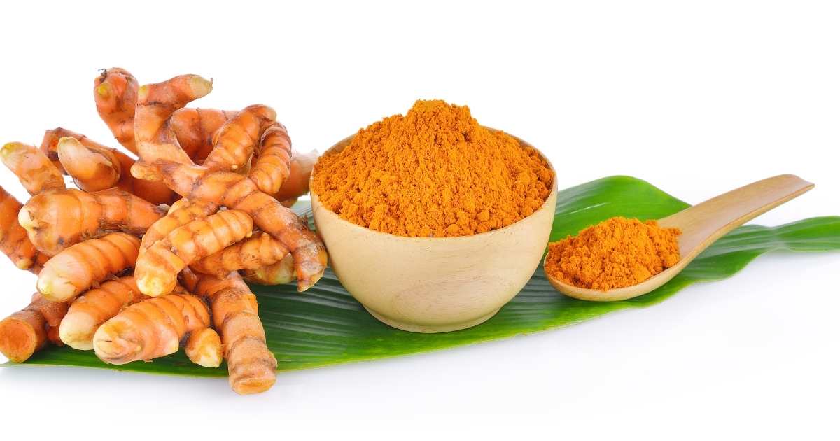 curcumin-for-cats - NHV Natural Pet Products Blog