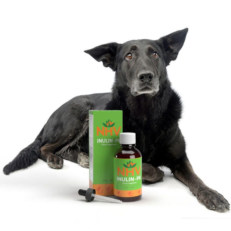 Inulin PK for Pets Suffering from GI Issues