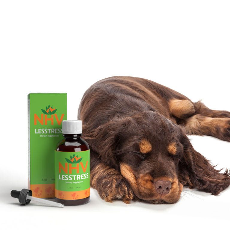 Lesstress for Pets – Stress and Anxiety Support