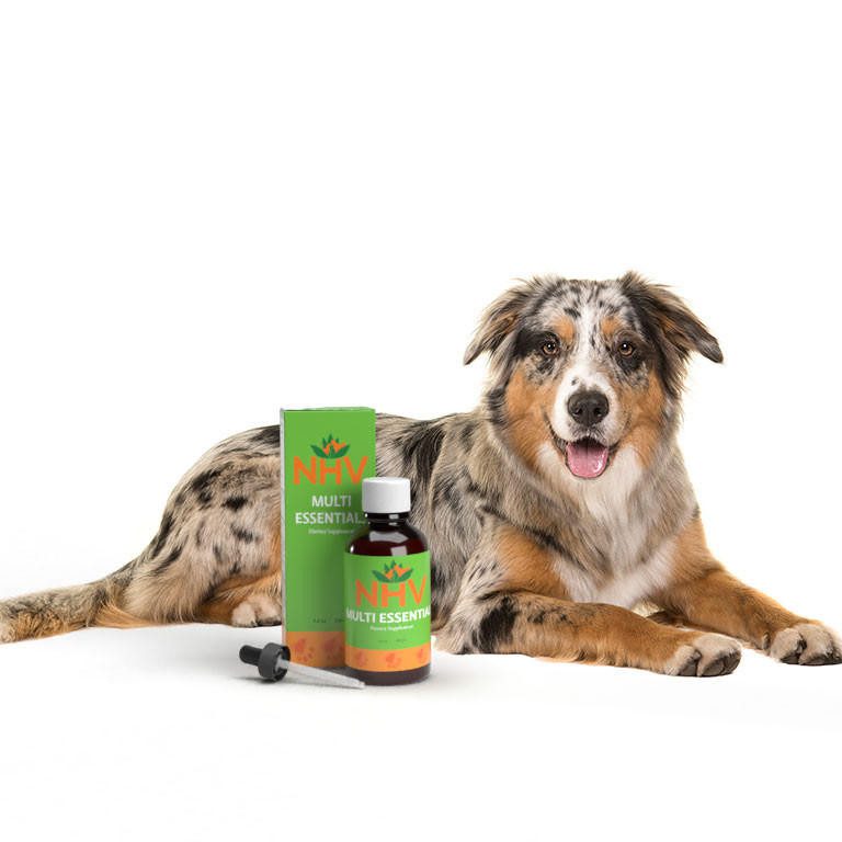 Multi Essentials for Pets – Nutritional Support