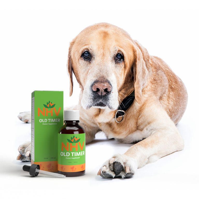 Old Timer – Support for Senior Pets Old Timer – Support for Senior Pets
