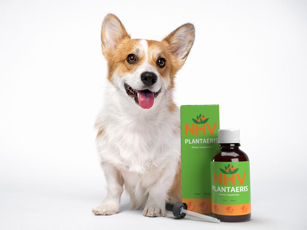 Plantaeris for Pets – Support for Diarrhea