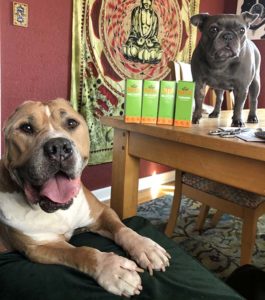 Bubba laying next to the table, Gertie standing on the table next t boxes of NHV Milk Thistle, ES-Clear, BK Detox, Turmeric