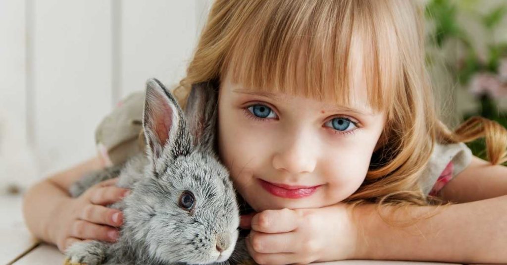 Girl taking care of rabbit