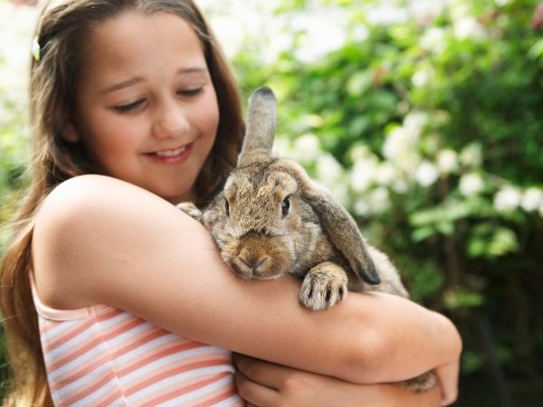 girl holding rabbit - how to care for rabbits