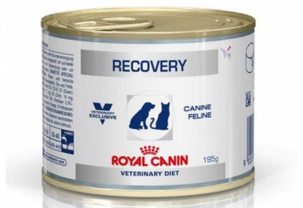 recovery-royal-canin-veterinary-diet