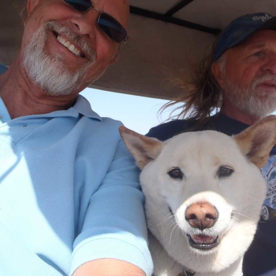 5 Ways You're Raising Your Pet Wrong NHV Natural Pet Products Blog