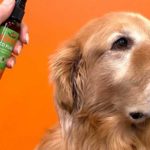 Coco furcare