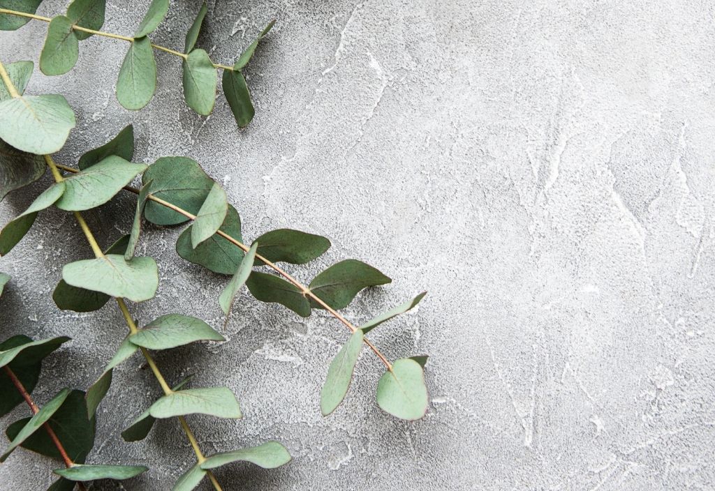 Is Eucalyptus safe for pets?
