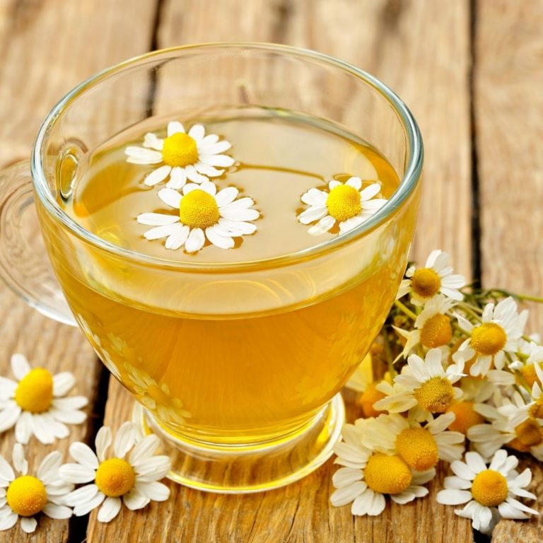 Is Chamomile Safe For Pets? NHV Natural Pet Products Blog