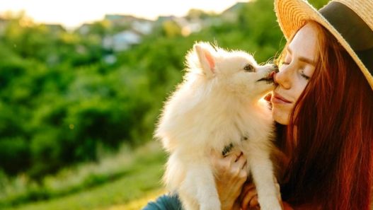 How to Become a More Eco-Friendly Pet Parent
