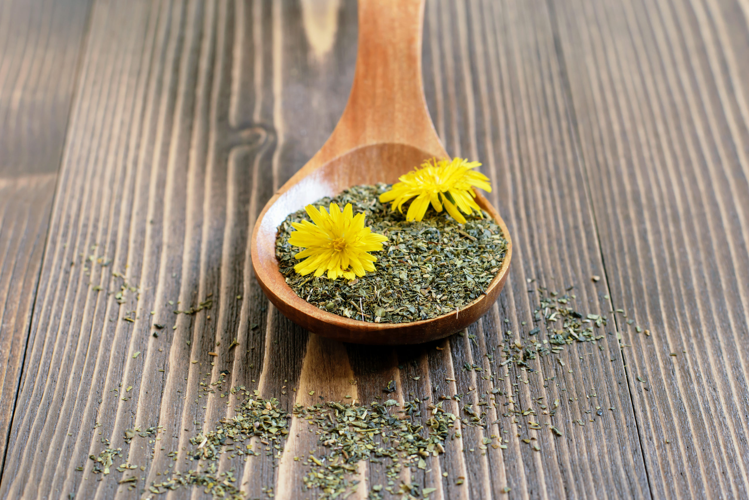 Dandelion is chock-full of health benefits that can help with a variety of different health conditions! This little plant can help promote healthy digestion, detoxification, and supports healthy liver and kidney function.