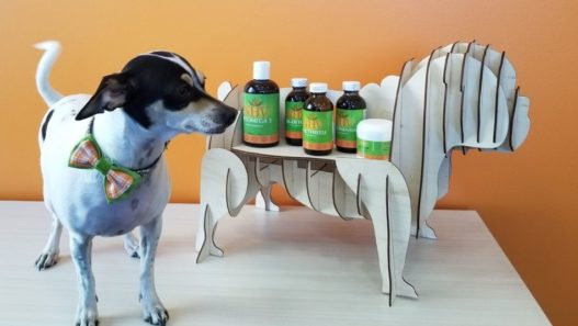 Chaya standing with NHV pet supplement bottles on a dog shaped stand against an orange wall.