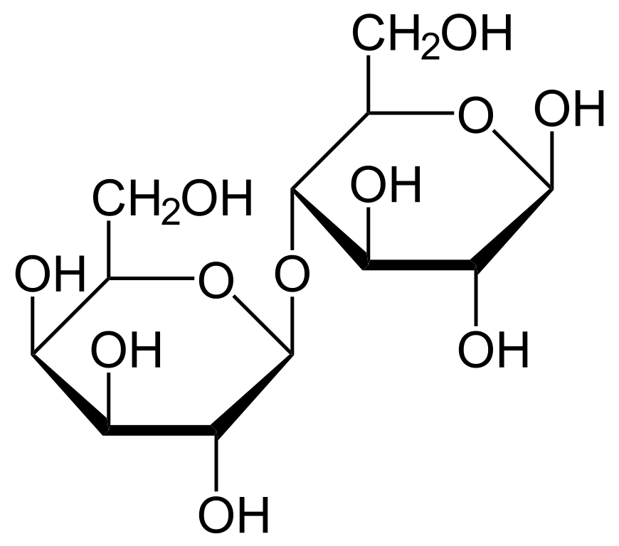 Chemical structure of lactose