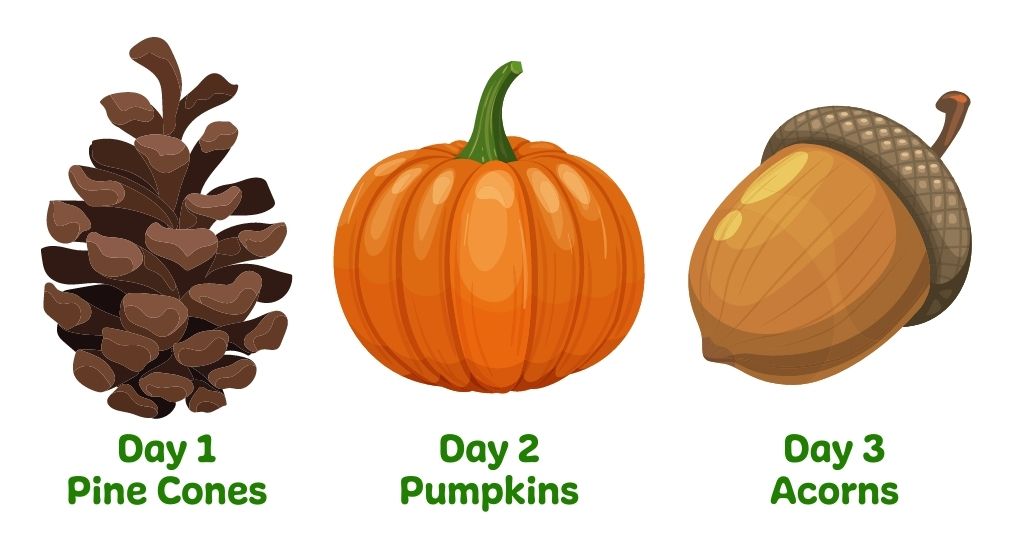 Day 1 - pine cones, day 2 - pumpkins, day 3 - acorns. Win free supplements for your pet with the 2021 NHV scavenger hunt. 
